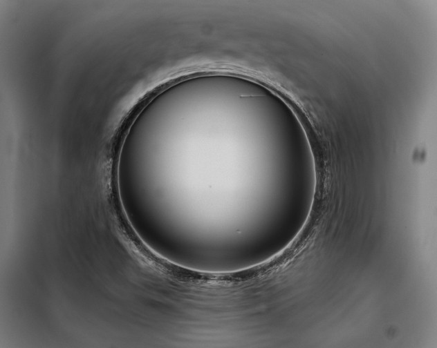 X0000098171503200804241143