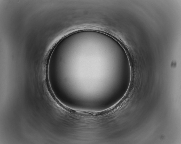 X0000098171504200804241143