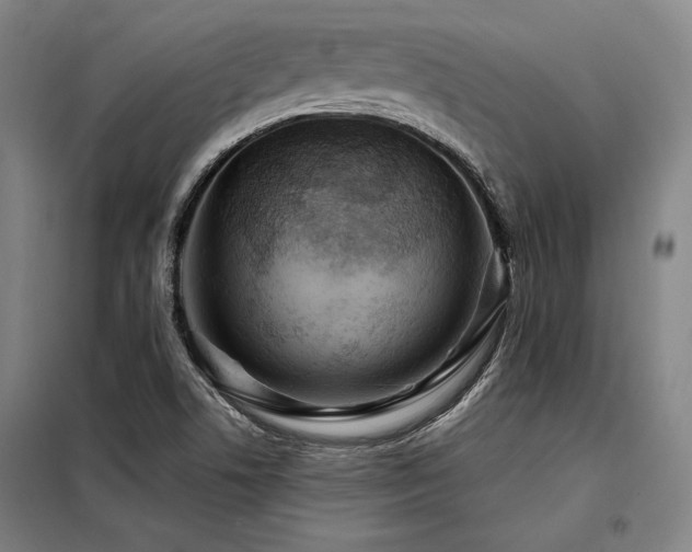 X0000098171506200804241144