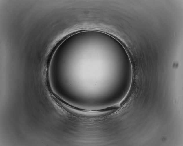 X0000098171507200804241144
