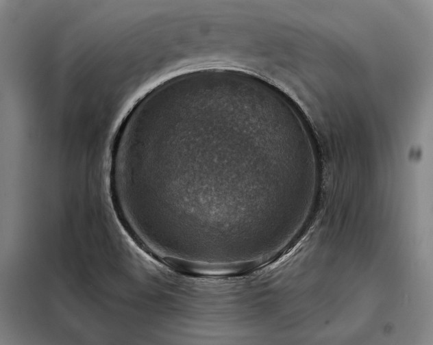 X0000098171508200804241144