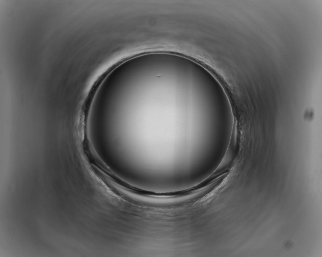 X0000098171510200804241144