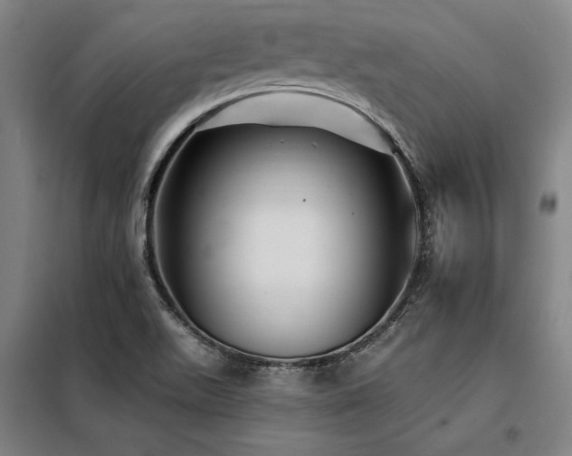 X0000098171511200804241144