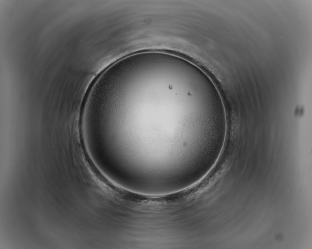 X0000098171513200804241144
