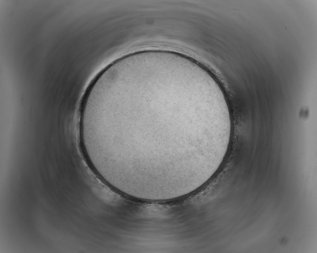 X0000098171514200804241144