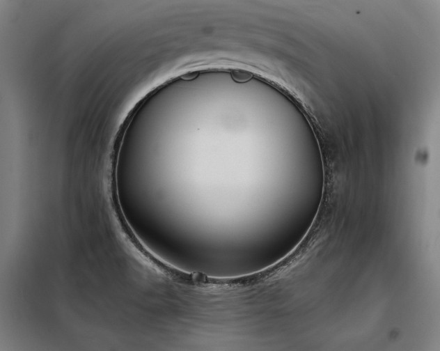 X0000098171518200804241144