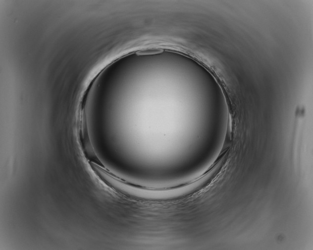 X0000098171520200804241144