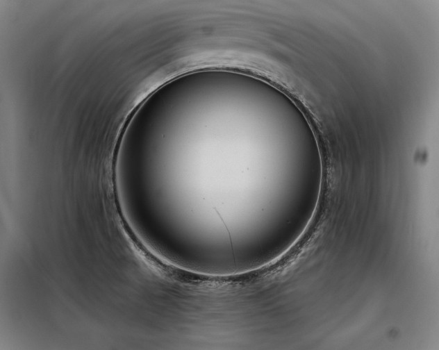 X0000098171521200804241144