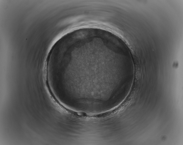 X0000098171522200804241144