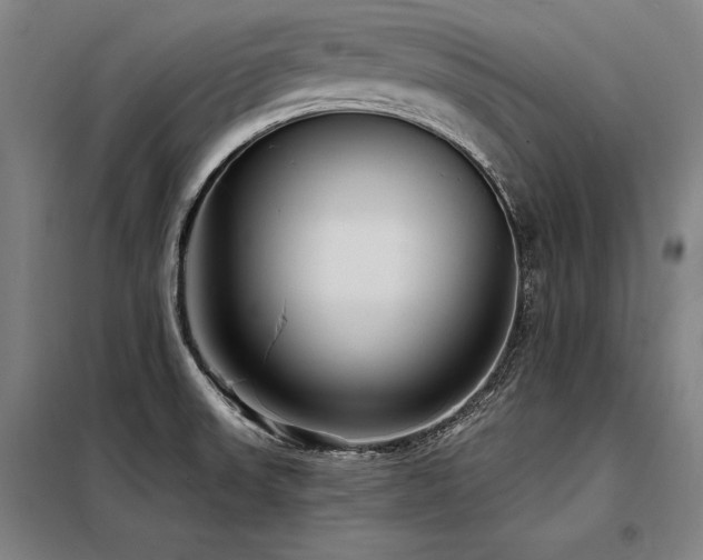 X0000098171523200804241144