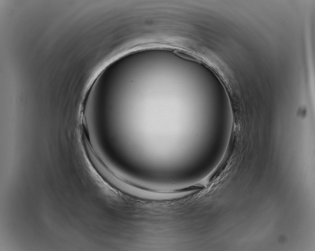 X0000098171524200804241144