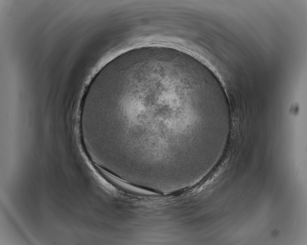 X0000098171525200804241144
