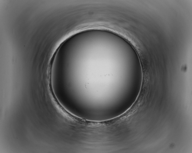 X0000098171526200804241144