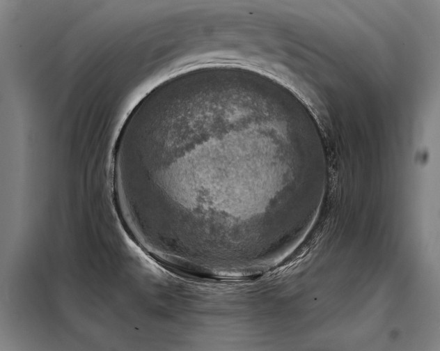 X0000098171527200804241144