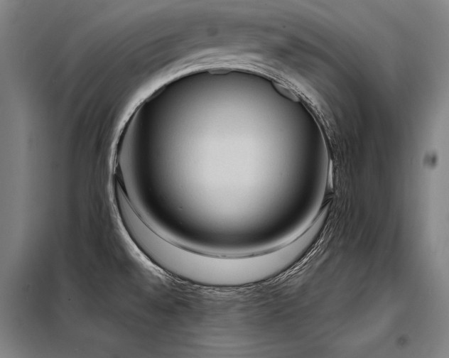 X0000098171528200804241144