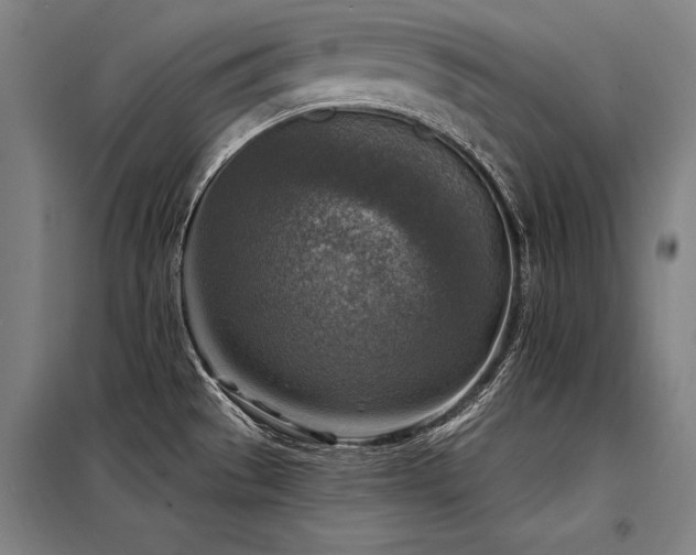 X0000098171529200804241144