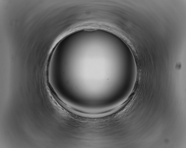 X0000098171530200804241144