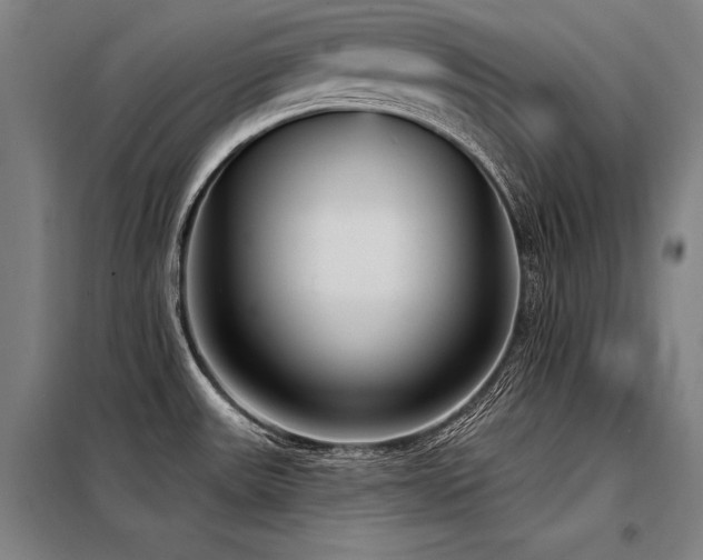 X0000098171531200804241144