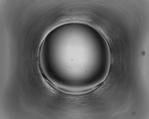 X0000098171532200804241144