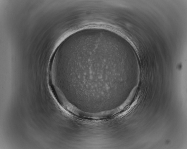 X0000098171533200804241144