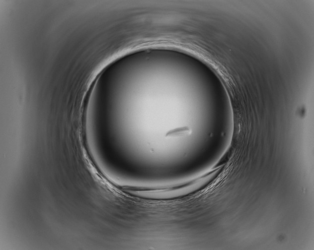 X0000098171534200804241144