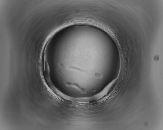 X0000098171536200804241144