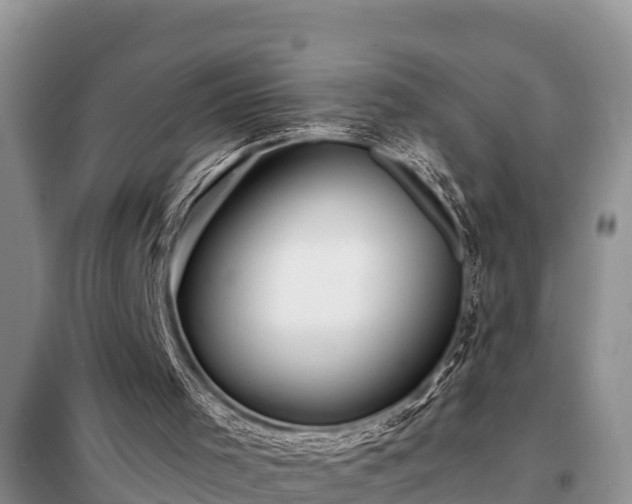 X0000098170001200805011024