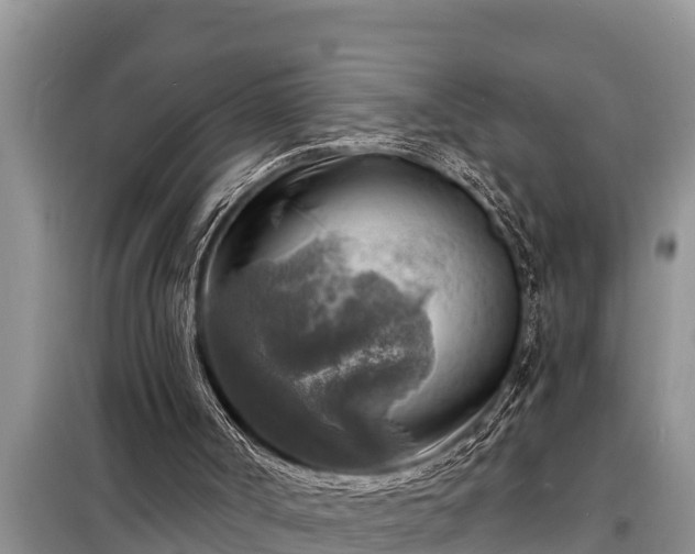 X0000098170002200805011024