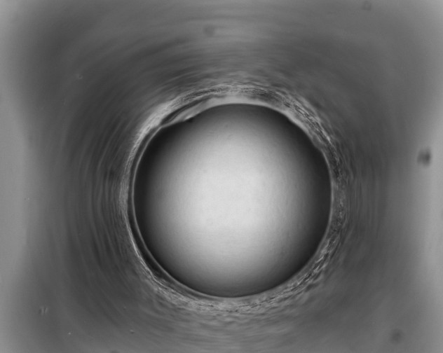 X0000098170003200805011024