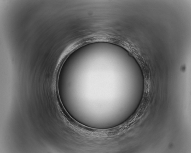 X0000098170004200805011024