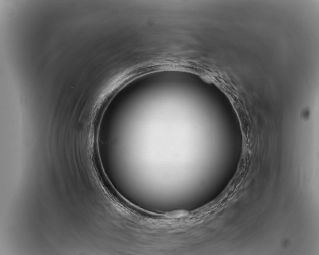 X0000098170005200805011024