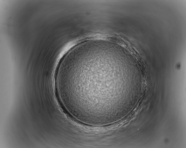 X0000098170006200805011024