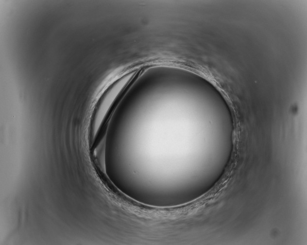 X0000098170007200805011024