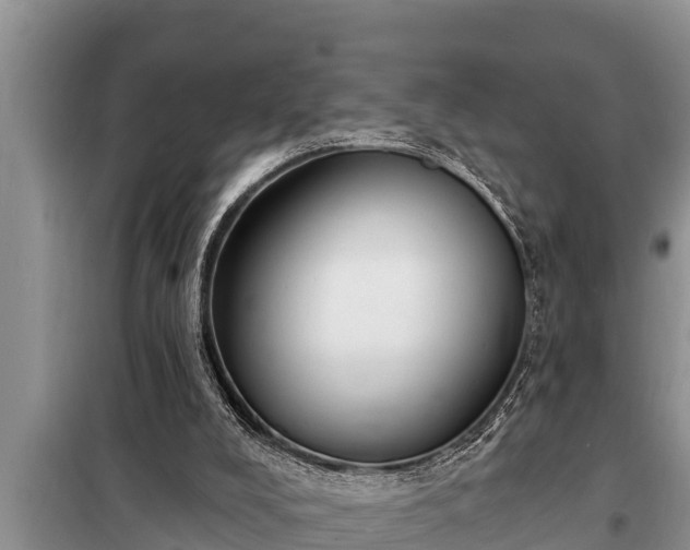 X0000098170008200805011024