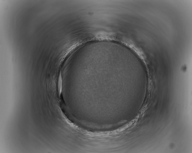 X0000098170009200805011024