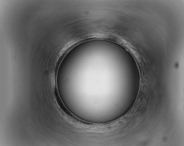 X0000098170011200805011024