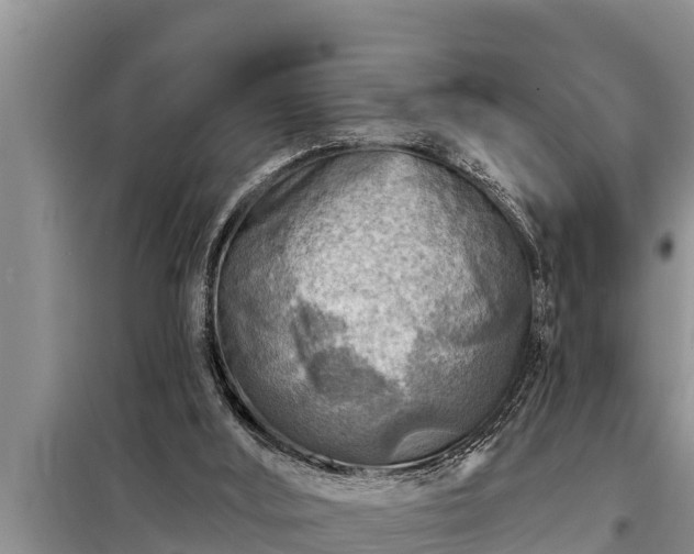 X0000098170012200805011024