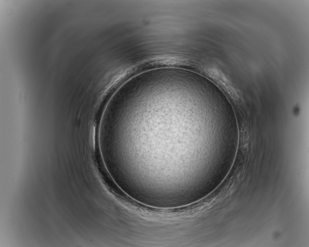 X0000098170014200805011024