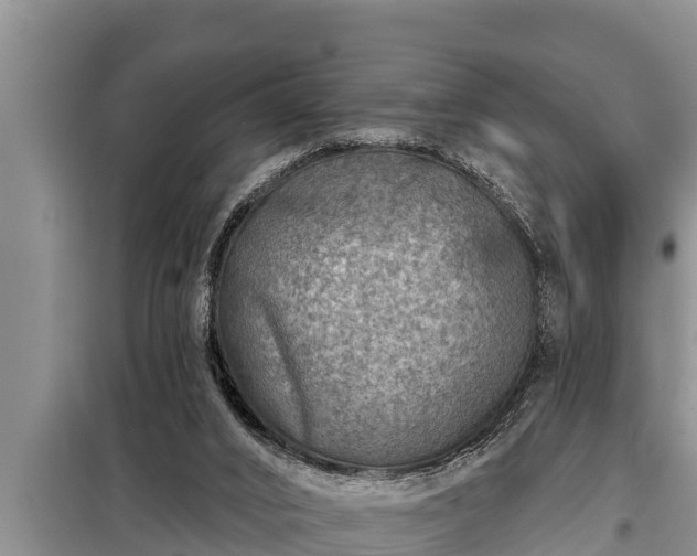 X0000098170016200805011024