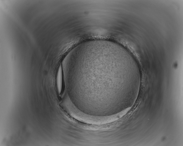 X0000098170017200805011024