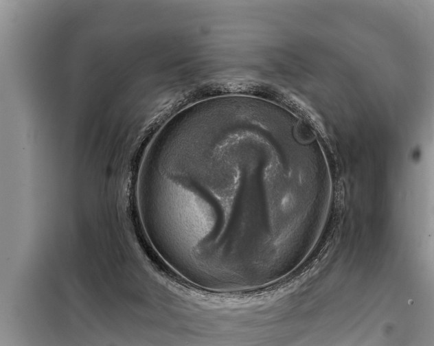 X0000098170018200805011024