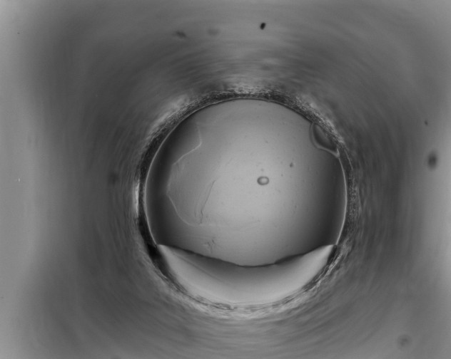 X0000098170019200805011024