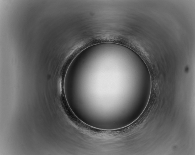 X0000098170020200805011024