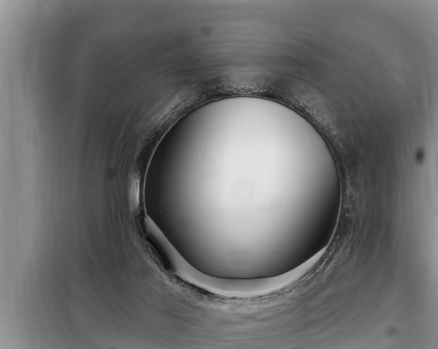 X0000098170021200805011024