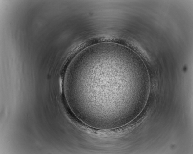 X0000098170022200805011024