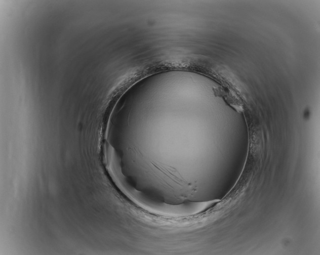 X0000098170023200805011023