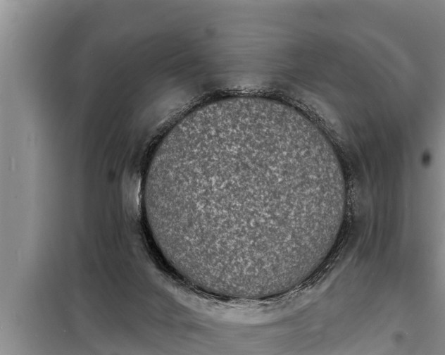 X0000098170024200805011023