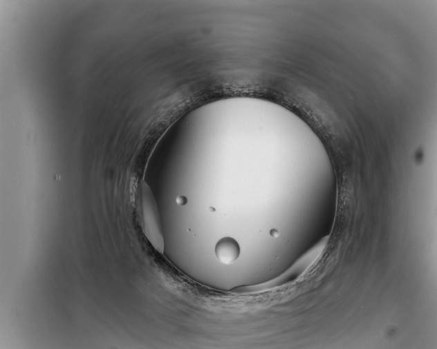 X0000098170025200805011023