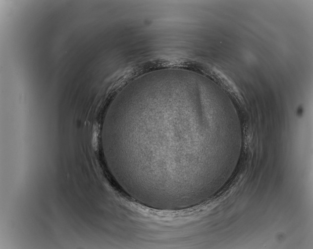 X0000098170026200805011023