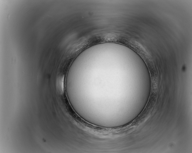 X0000098170028200805011023